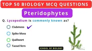 Top 50 Pteridophytes MCQ Questions for All Competitive Exams | Biology MCQ| NEET UPSC PPSC