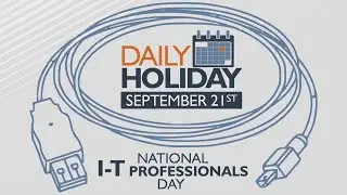 Daily Holiday - National I-T Professionals Day
