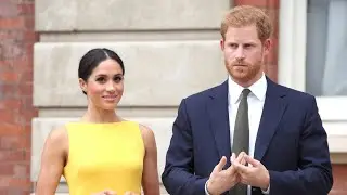Prince Harry and Meghan Markle's behaviour is 'damaging the crown'