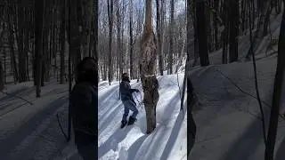 Transforming a Dead Tree to $16,500 Masterpiece: Epic Furniture Making & Metalworking Process #art