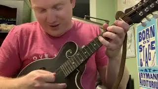 Songs of the Reaper Mandolin Solo (D - beginner)