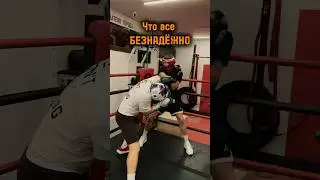 Не отступать и не сдаваться #мем #мемы #reels #юмор #бокс #boxing #мемас #смешнойшортс #приколы