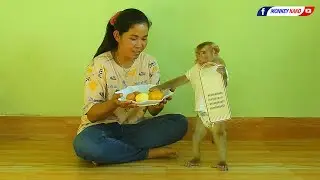 Master Chef Monkey Kako With Mom Stir Fry Egg With Vegetables