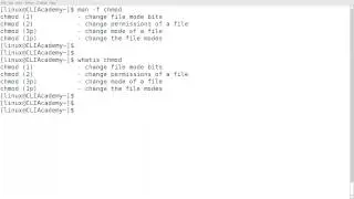 CLI Academy: Linux 