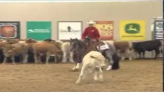 Smart Boons  2010 Derby Herd