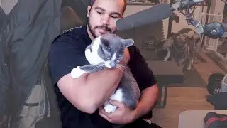 Vegan Gains forces his CAT to be VEGAN!