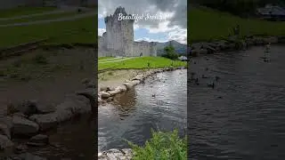 Travel to Ireland🤍 #ireland #travel #irishtourism #irelandtravel #seetheworld #solotravel