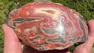 Dryhead Agate polished half from Montana USA