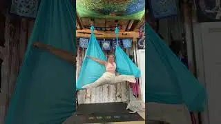 Butterfly split lunar moth￼
