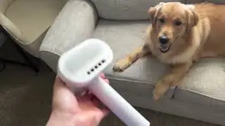 L&W BROS  Low Noise Pet Dryer for Small Dogs, PROS & CONS 2in1 Pet Brush & Dryer