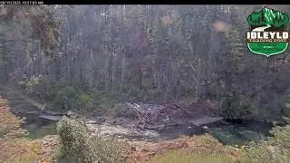 Idleyld - North Umpqua River Livestream