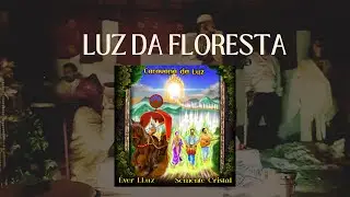 Luz da Floresta - Semente Cristal e Ever LLuz