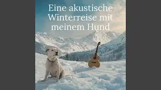 Winterstille im Abendlicht