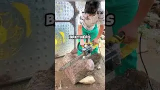 She Found Hungry Puppies in the Trash&hellip; What She Built for Them Will Melt Your Heart 🐶❤️