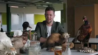 Voorlichting klas 2 - Piter Jelles YnSicht