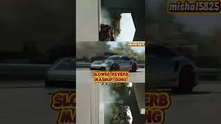&lrm;Bleeding Heart Slowed Reverb Mashup Song.#remix #punjabisinger #music #sidhumoosewala #song #songs