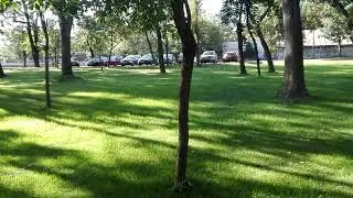 Parcul Central &bdquo;Anton Scudier&rdquo; Timisoara