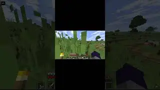 Minecraft Cattle Farming &ndash; Growing My Animal Farm in Survival Mode