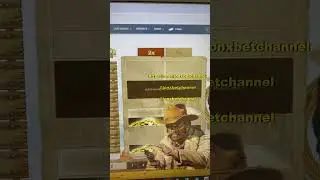 1xbet Wild West Gold Hack &ndash; Secret Script by JON XBET Revealed