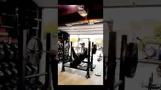 Safety Squat Bar OR Barbell JM Press to Pins