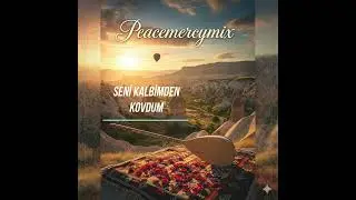 Seni Kalbimden Kovdum - Peacemercymix Cover