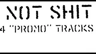 Not Shit - Promo [2018 - Hardcore Punk]