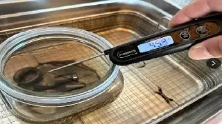 FUMMDUS Meat Thermometer Digital, 3S Instant Read Food Thermometer for Cooking Review
