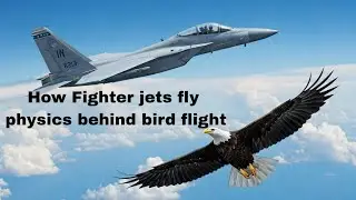 How Fighter jets fly & Physics behind bird flight