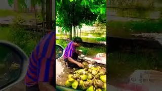 Hardworking Man's coconut 🥥 cutting skill#shorts #nitika a versatile World