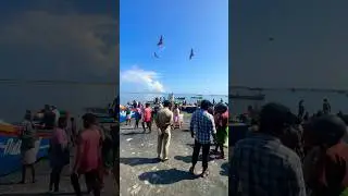 Vaddy fishing harbour #kollam #police #fishing #harbor