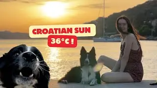 Dog Parkour in Dubrovnik, stay cool!