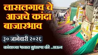 लासलगाव बाजार समिती आजचे कांदा बाजारभाव Lasalgaon Onion Market Rate Today 30 January 2026