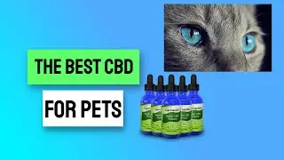 Cbd Oil Vancouver - Best Cbd Oil Vancouver Bc 😊💕😍