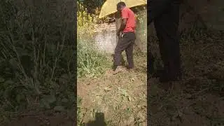 mahinat ka har chij jabara jast hoti hai ❤️😀😀😀