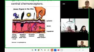 Correspondence Class by Seema Sett Sem3 BHB CHAPTER 11 12th jan 2026
