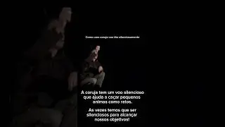 Sabedoria &eacute; Poder