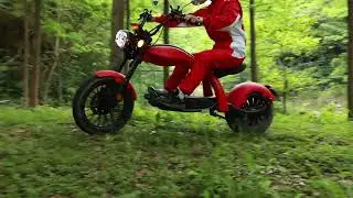 M4 eec electric scooter 2000W 45km/h Europe legal citycoco
