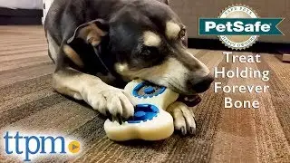 Treat Holding Forever Bone from PetSafe