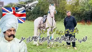 Rare First Nukra Horse In England || Nawab Malik Atta Last Journey from England to Pakistan #horse