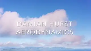 Damian Hurst - Aerodynamics
