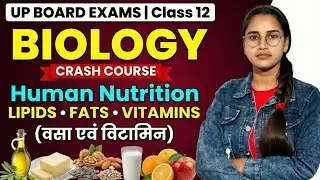 Human Nutrition | Lipids, Fats & Vitamins | Class 12 Biology | UP Board Exams 2026