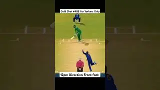 Best Gold Shot #488 (yorkers only) #shorts #cricket #rc24 #realcricket24 #rc24batting #review #shots