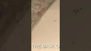 #fabricbag