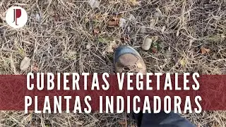 Cubiertas vegetales. Plantas indicadoras
