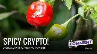 ESMA Pushes New Standards, Reddit Drops Bitcoin, Spicy ICO | The Comment | Episode 88