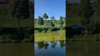 📍Shree Antu Ilam  #shortvideo #youtubeshorts #ilam #Antu #shreeantu #nepal #nepali #eastnepal