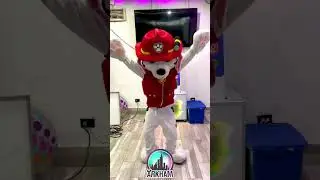 Bailando &ldquo;Ping pong&rdquo; con Marshall de Paw Patrol #pawpatrol #shorts #bailes #showinfantil #fiesta