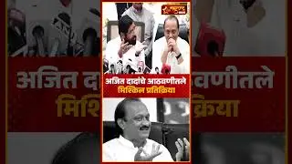 Eknath Shinde आणि Ajit Pawar यांच्यात मिश्किल संवाद | Assembly Election 2024 Results #shorts