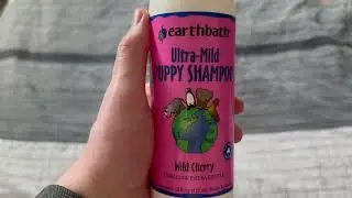 Earthbath Ultra Mild Puppy Shampoo and Oatmeal & Aloe Conditioner Grooming Bundle, Best Shampoo and