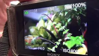 NEX-5N  with LA-EA2 , SONY &alpha; Lens　(DT 35mm f1.8)